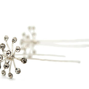 Hairpins on a white background